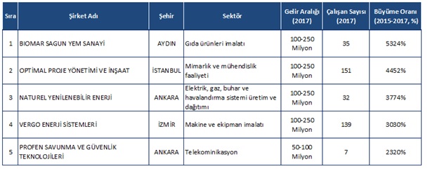 turkiye 100 ilk 5 sirket