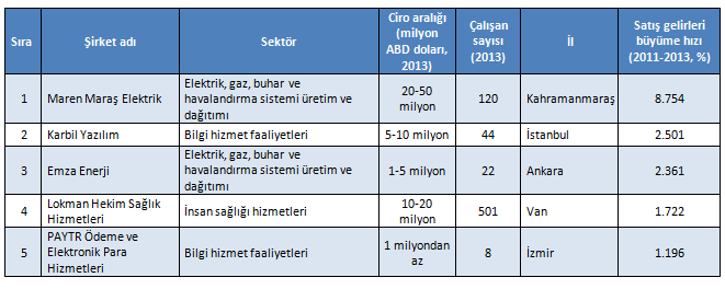 turkiye100 turkiye100