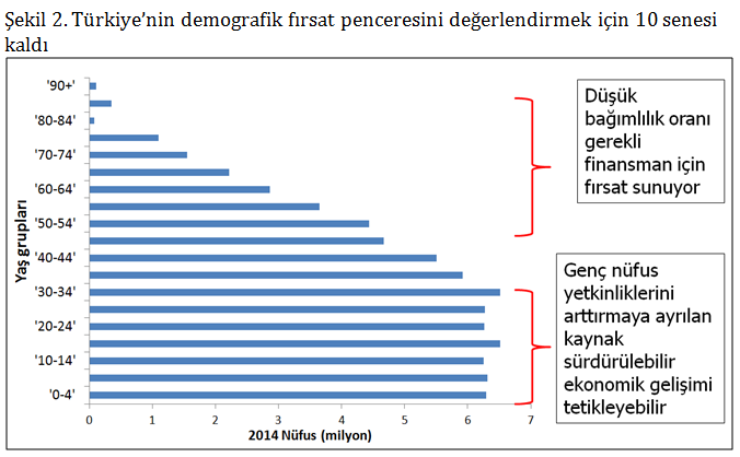 demografi demografi